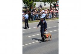 Fédération Nationale des Pompiers